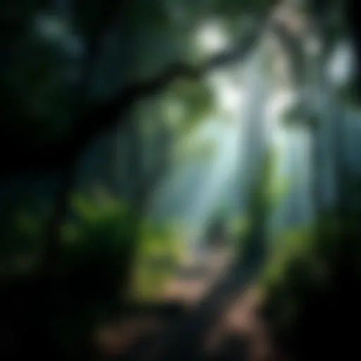A dense jungle hiking trail, with sunlight filtering through the trees, symbolizing the mystery surrounding Kris Kremers and Lisanne Froon's disappearance.