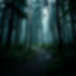 A dense forest trail where Thelma Polly Melton vanished while hiking with friends in 1981.