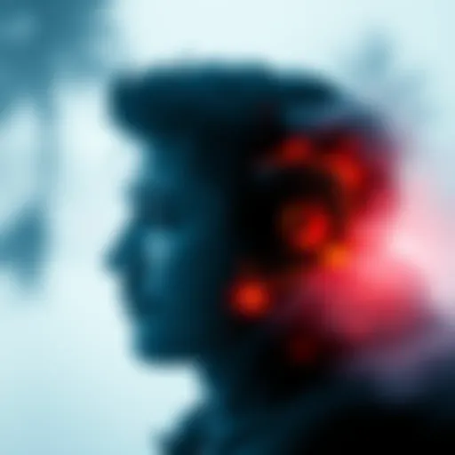 Hoax Image Analysis A detailed breakdown of the popular hoax image showcasing its variations and the story behind it.