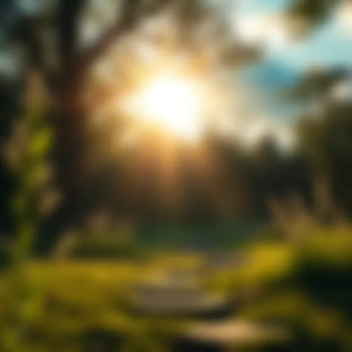 A peaceful scene showing light and nature, symbolizing the unseen work of the Holy Spirit through miracles in everyday life.