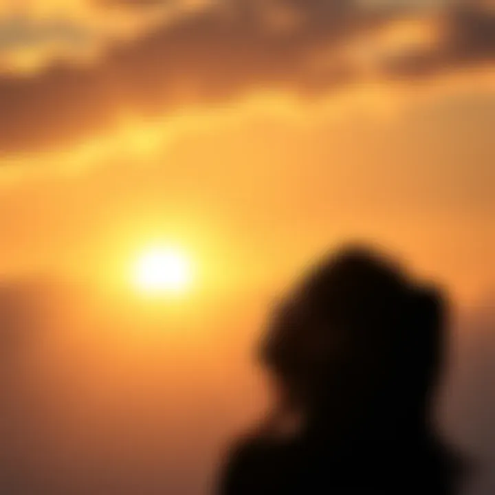 A person looking towards a sunrise, symbolizing hope and resilience after hard times