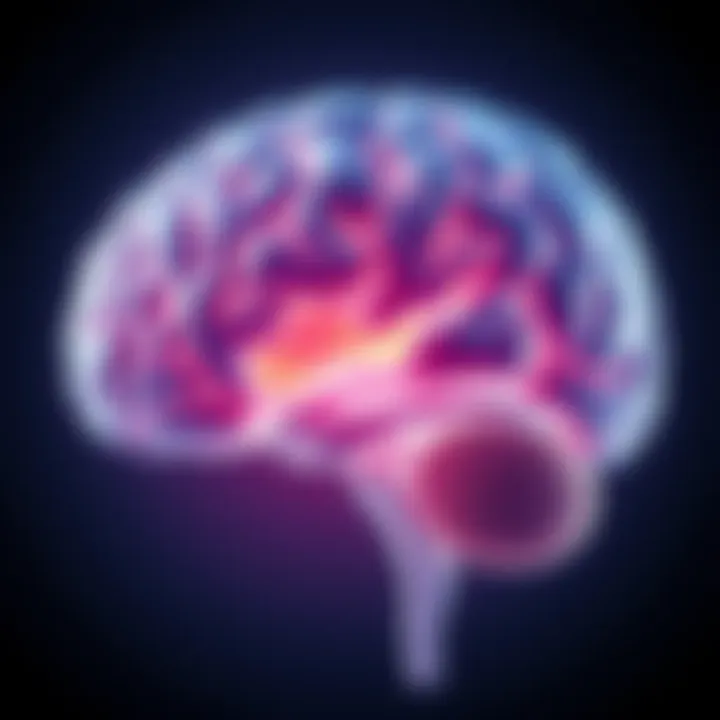 Human Brain Illustration A visual representation of a human brain showing areas of shrinkage over time since the last ice age