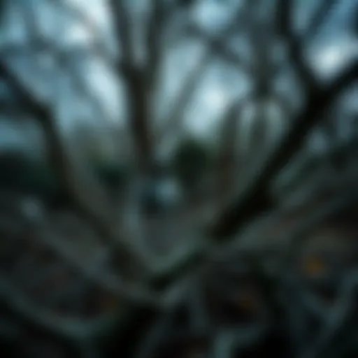 A peculiar humanoid shape appears among fallen branches in a backyard after a tree falls.