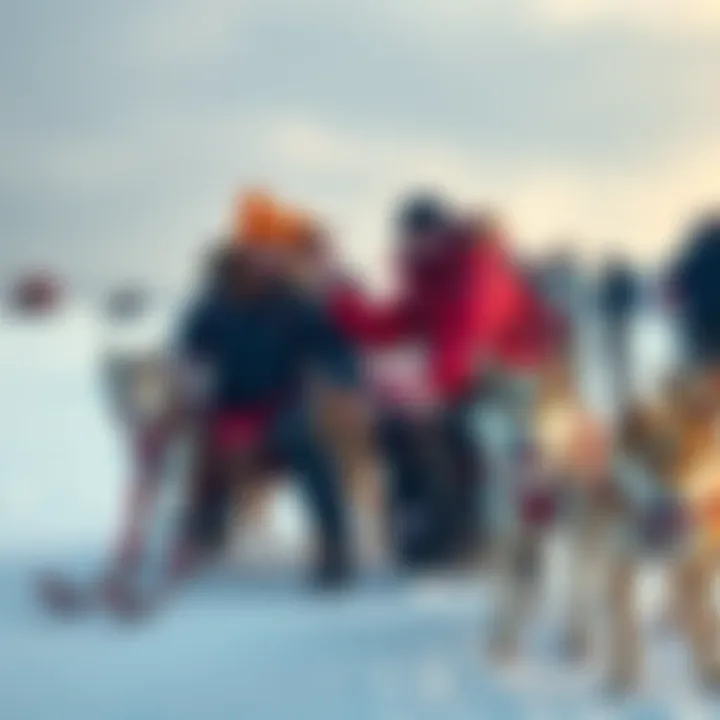 Jody Potts and Jessie Holmes prepare for the Iditarod 2026 race, showcasing their sled dogs and gear in a snowy landscape.