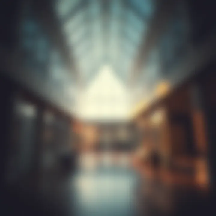 A vast house interior with endless hallways and a bright sunroom filled with sunlight, evoking feelings of warmth and longing