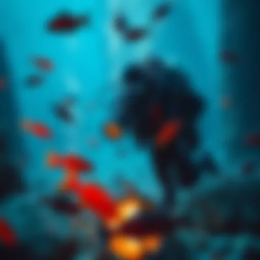 A diver exploring underwater caissons with equipment, surrounded by water and marine life.