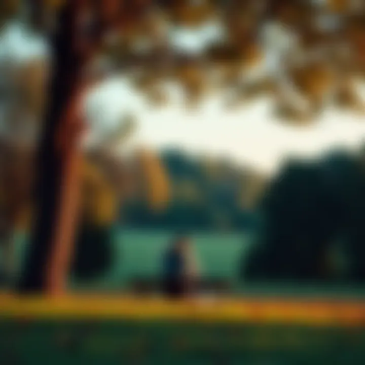 A person sitting quietly in a serene park, reflecting on their feelings after a breakup, symbolizing the search for self-acceptance and inner peace.