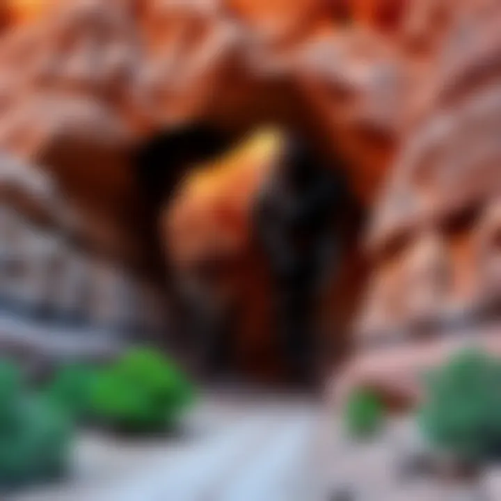 Kincaid's Cave Entrance The entrance of Kincaid's Cave in the Grand Canyon with rugged rock formations and sparse vegetation around it.