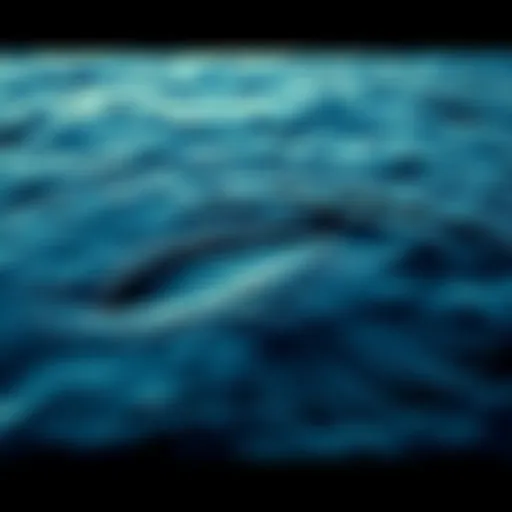 Footage showing ripples and movements in Loch Ness water, suggesting a large creature beneath the surface.