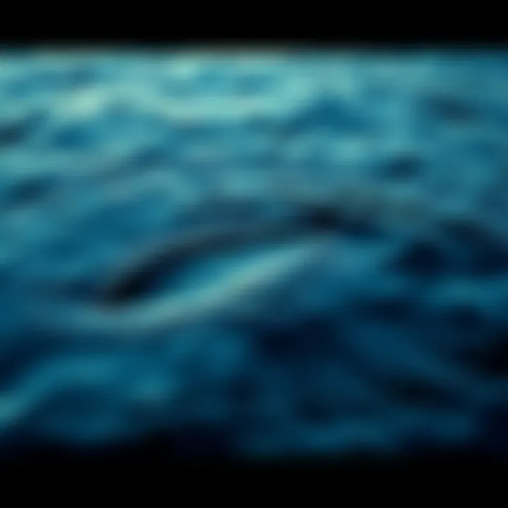 Footage showing ripples and movements in Loch Ness water, suggesting a large creature beneath the surface.