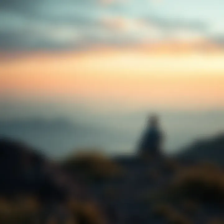 A solitary person sitting on a hilltop, gazing into the distance with a calm expression, symbolizing loneliness after awakening.