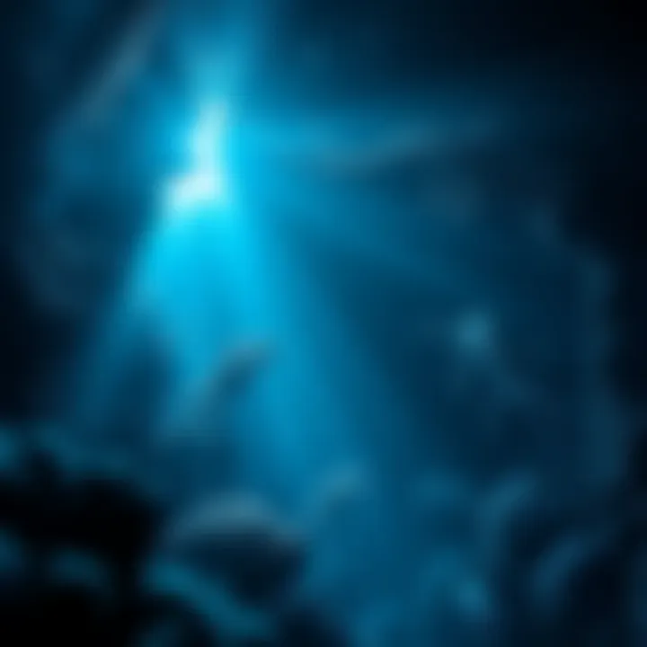 Mariana Trench Underwater Scene A dark blue underwater view of the Mariana Trench, showcasing strange creatures and deep-sea formations