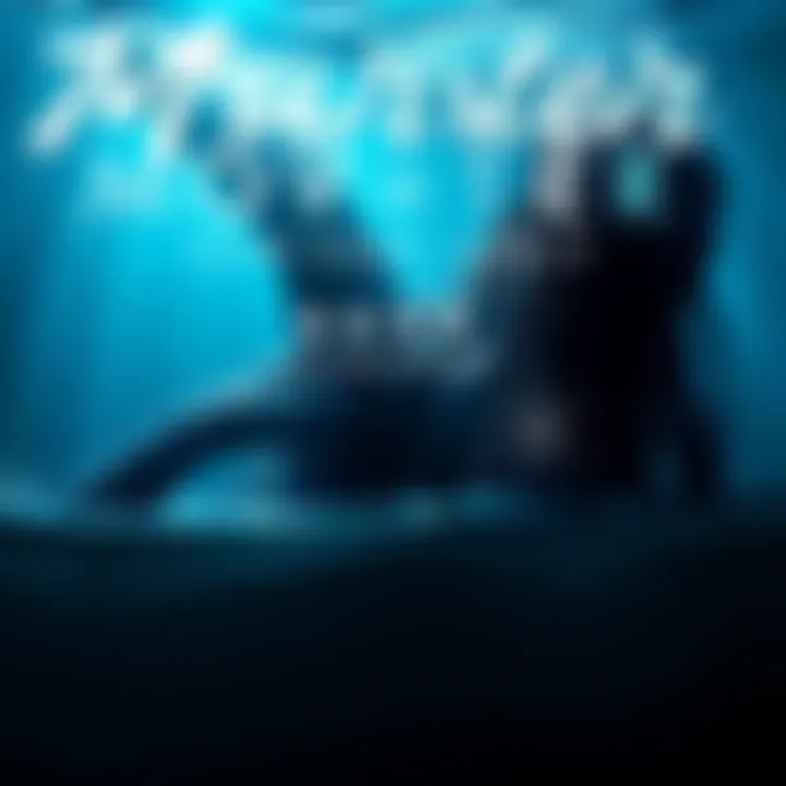 A mysterious 15-foot marine creature lurking beneath the ocean surface, featuring shadows and intriguing shapes.