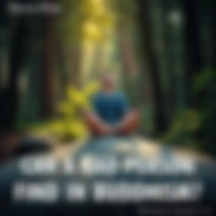 A person sitting cross-legged on a rock in a peaceful forest, meditating with eyes closed, reflecting on their past.