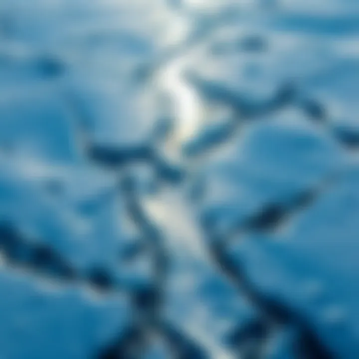 Melting Ice Sheets in Antarctica Aerial view of melting ice sheets in Antarctica, with water pooling and cracks forming, highlighting the impact of climate change.
