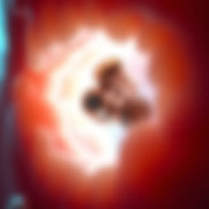 A close-up of mercury amalgam dental fillings in a tooth, highlighting potential health risks.