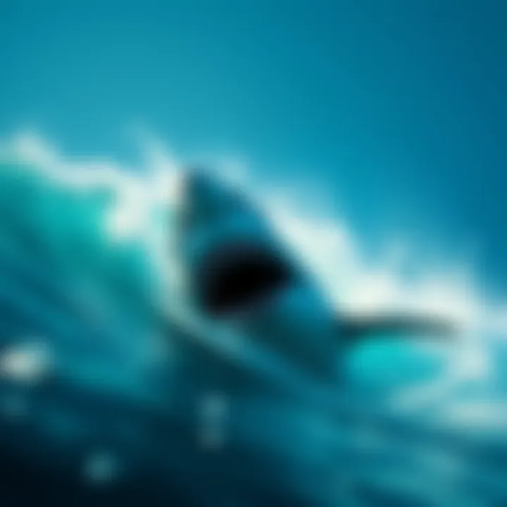 Mick Fanning in the ocean fighting off a Great White Shark during a surfing competition