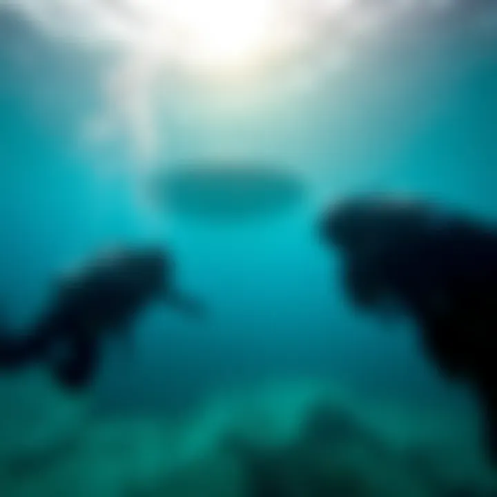 Military divers inspect an underwater site where a UFO is believed to have crashed, with visibility of ocean floor and marine life around them.