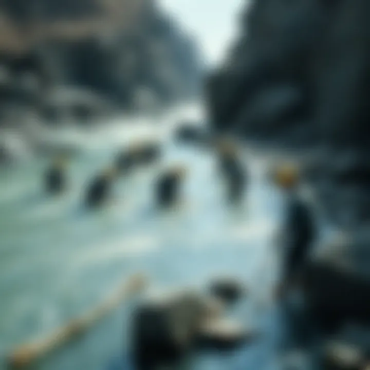 Miners pan for gold in a river surrounded by rocky terrain, showcasing their tools and teamwork.