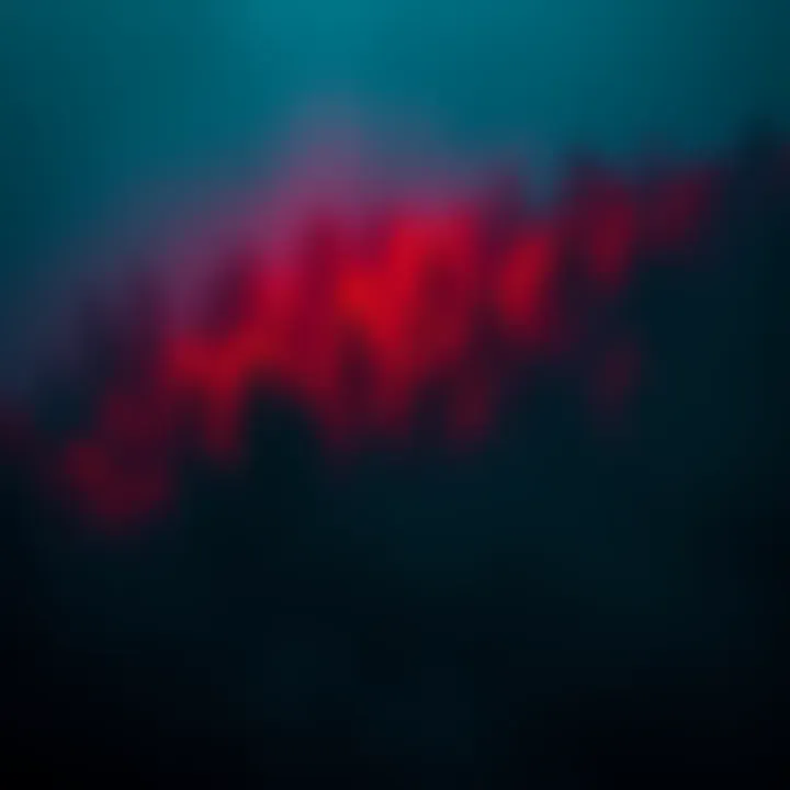 Footage found with personal items of two hikers missing since 2009, showing a dense forest area