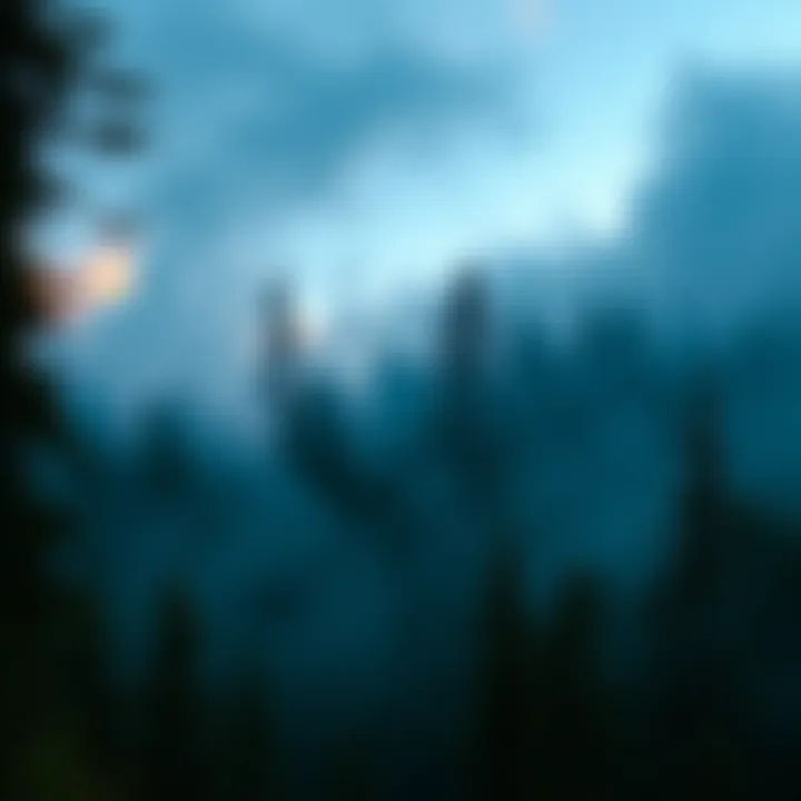 Misty Pines at Dusk A haunting view of a fog-covered forest in the Pacific Northwest, hinting at unseen spirits.