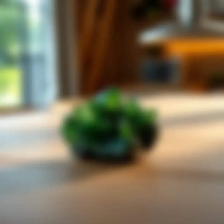 A close-up of a green Moldavite crystal sitting on a wooden table with soft lighting, symbolizing hope for positive changes in relationships