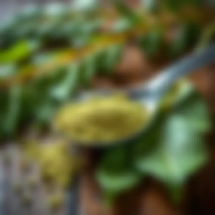 A close-up of a spoon filled with green Moringa powder, placed next to fresh Moringa leaves on a wooden table.