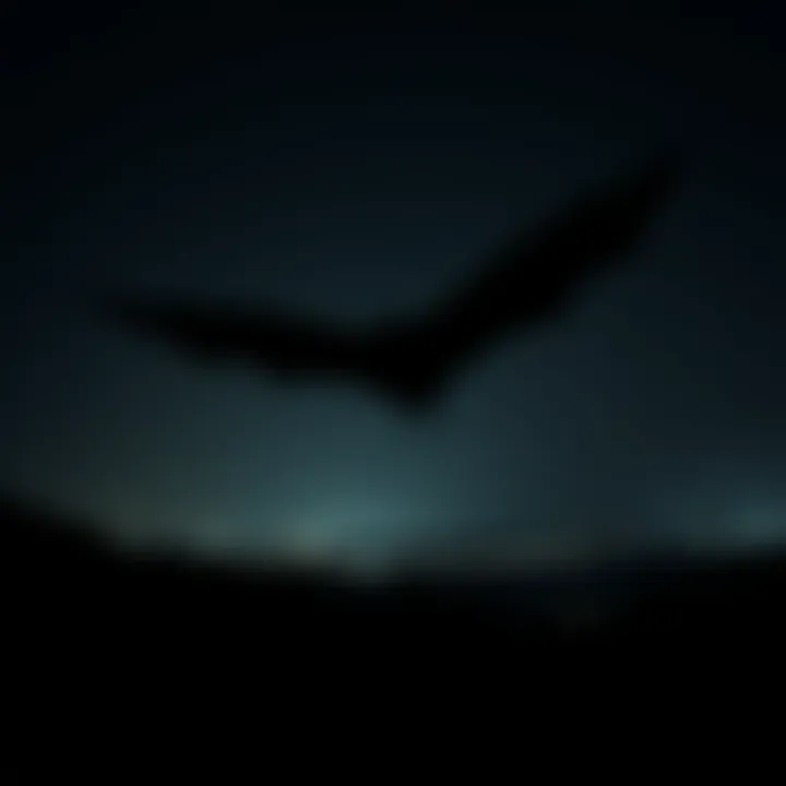 A shadowy figure resembling Mothman flies over a dark landscape, with a faint glow from city lights and a bridge in the distance.