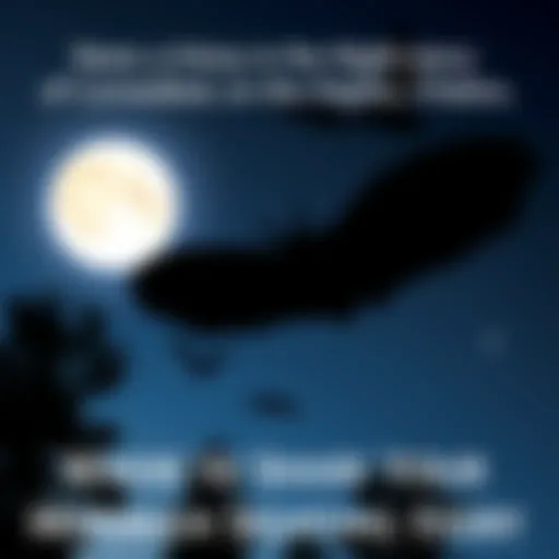 A silhouette of Mothman flying against a moonlit sky with trees below