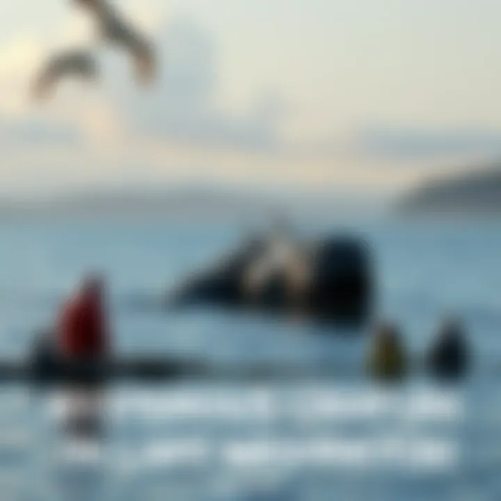 Mysterious creature in Lake Washington A large, unknown creature partially submerged in Lake Washington, with curious onlookers nearby.