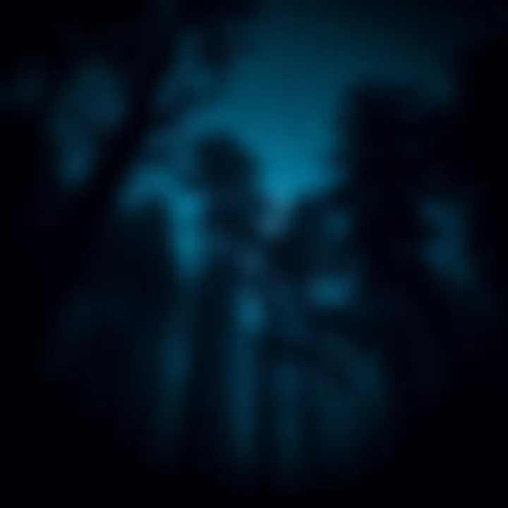 A mysterious forest at night A dark forest scene with faint glowing eyes in the shadows, suggesting the presence of a cryptid. Trees are silhouetted against a starry sky.