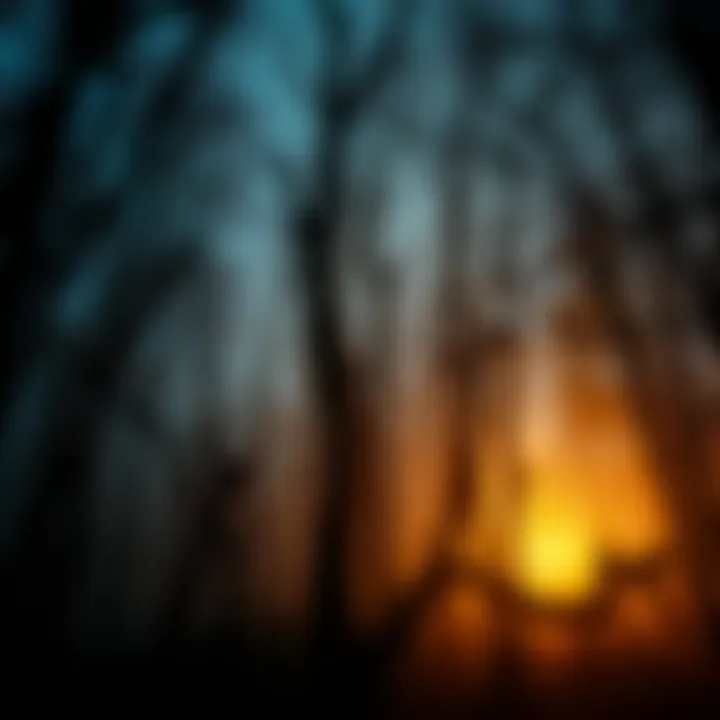 A dimly lit forest with shadowy trees and broken branches, evoking a sense of unease and mystery.