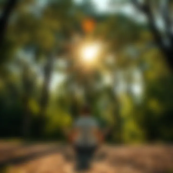 A peaceful scene of a person meditating in a serene outdoor environment, surrounded by trees and sunshine, representing emotional clarity and well-being.