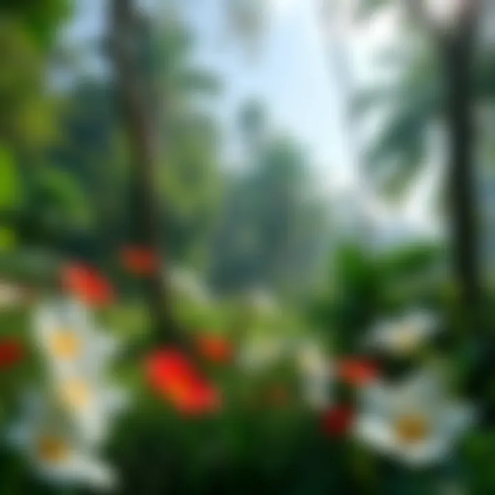 A serene view of a lush green forest with vibrant flowers, illustrating the beauty of nature and healing elements.