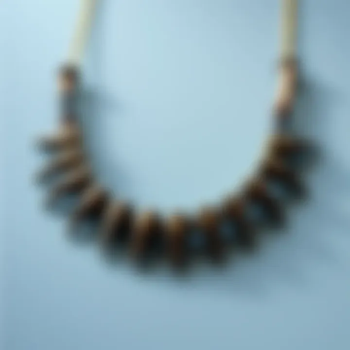 Necklace with Antler Tips A necklace featuring beautiful antler tips, blending natural elements with style, displayed on a simple background.