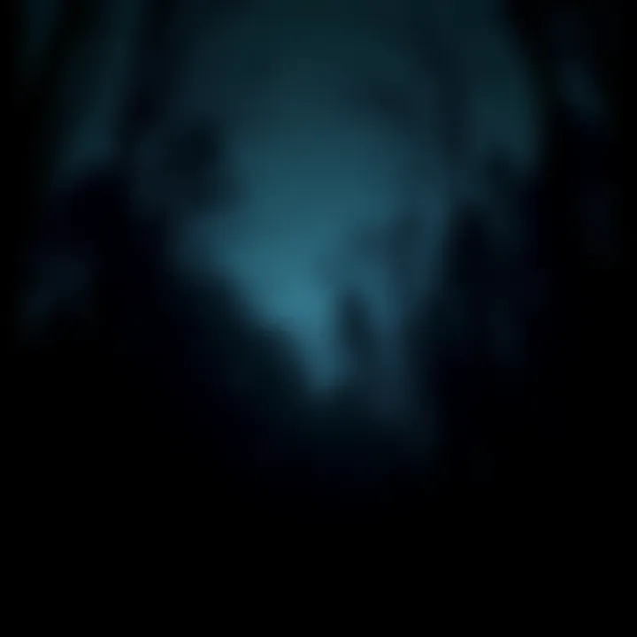A dark forest scene with a faint outline of trees and an eerie atmosphere, suggesting strange noises echoing in the night.