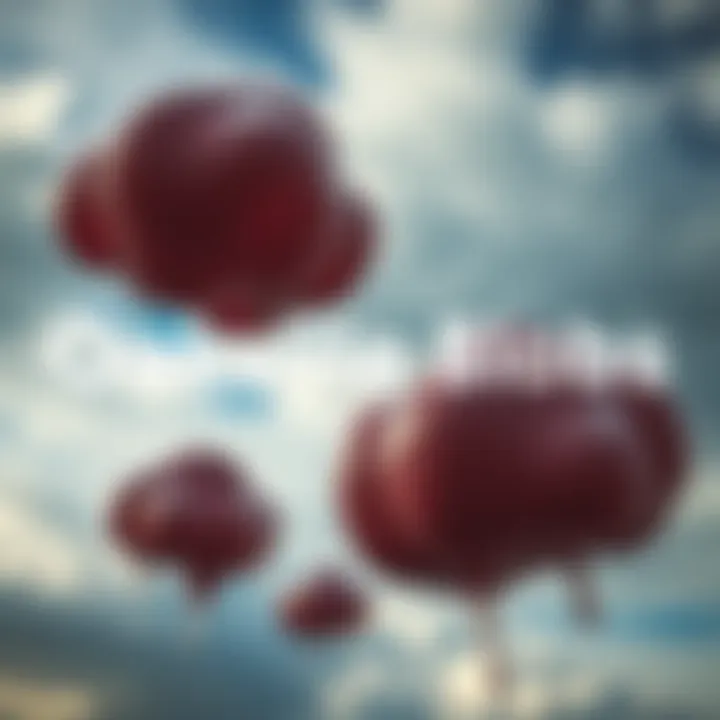 A close-up of the mysterious gelatinous blobs that fell during the 1994 Oakville incident, with a cloudy sky in the background.