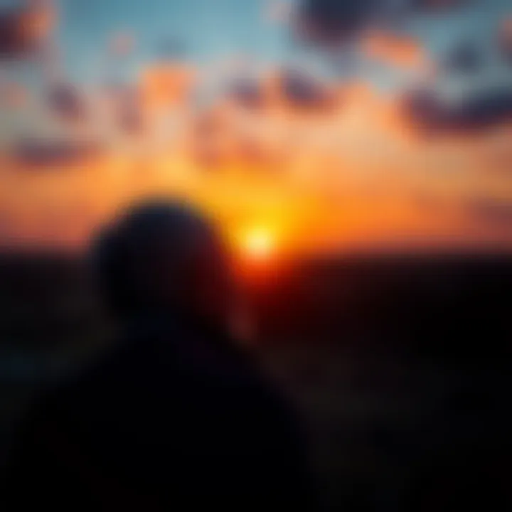 A contemplative person gazing at a sunset over the horizon, symbolizing the awareness of past lives and making a positive impact in the present.