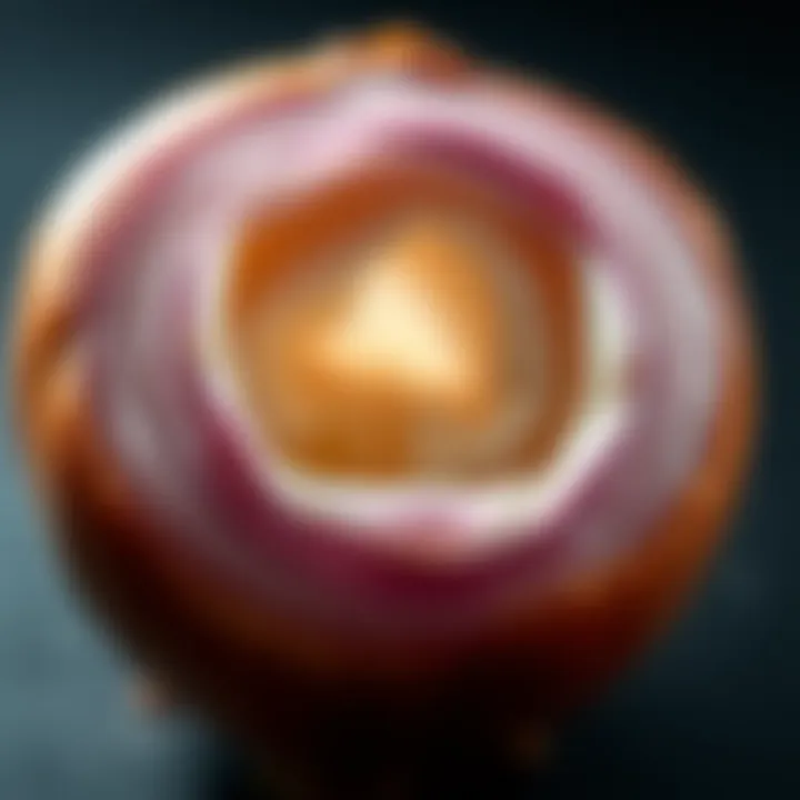 Onion with layers peeled back A close-up of an onion with several layers peeled away, revealing empty space in the center, symbolizing the concept of self and nothingness.