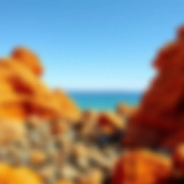 Exploring the Unique Orange Shades of Rock Beaches : MysteryLores