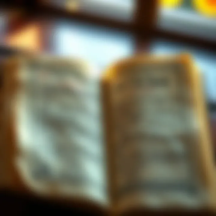 An open book displaying the Pali Canon texts with traditional Asian script on pages