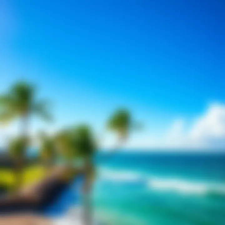 A sunny Palm Beach scene featuring palm trees and the ocean, representing the theme of 'Not Jeff'.