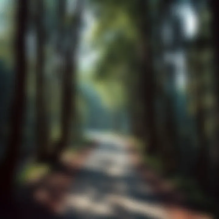 A serene path winding through a dense forest, symbolizing the journey of life with trees on either side and dappled sunlight filtering through the leaves.