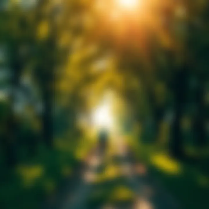 A person walking on a path with trees and sunlight, symbolizing growth and overcoming challenges.