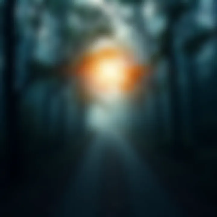 A winding road through a dense forest symbolizing personal growth and discovery amidst challenges