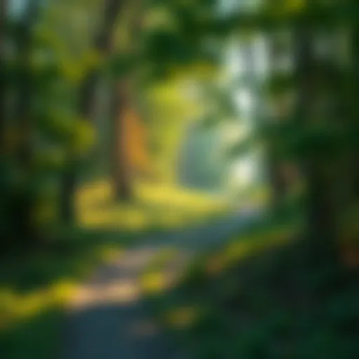 A serene path winding through a lush forest, symbolizing a journey without a fixed destination