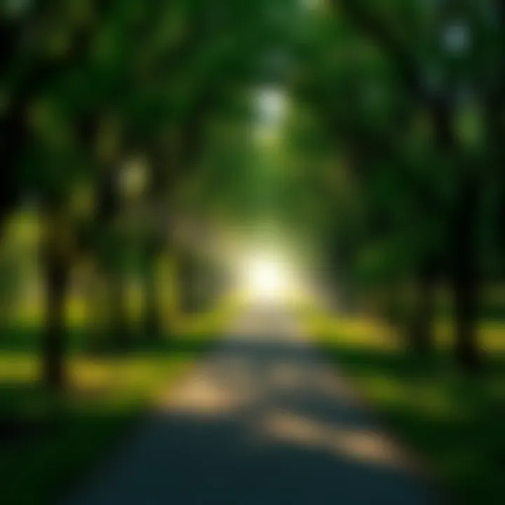 Exploring the Depths of Gnosticism and Its Truths : MysteryLores