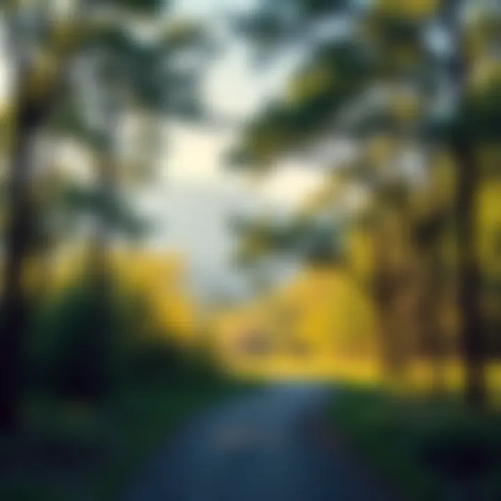 A serene landscape symbolizing self-discovery and awareness, featuring a tranquil path leading into a bright horizon, surrounded by lush greenery and soft light.