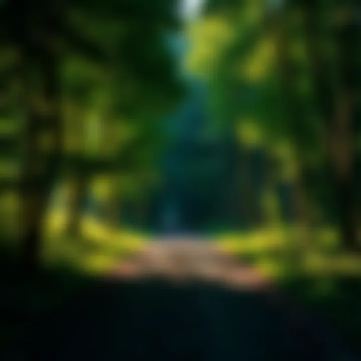 A serene path through a lush green forest symbolizing a journey to health and recovery