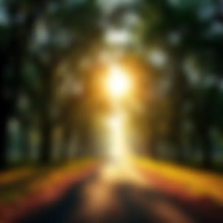A serene path lined with trees leading towards a bright light symbolizing spiritual growth and guidance from the Holy Spirit.